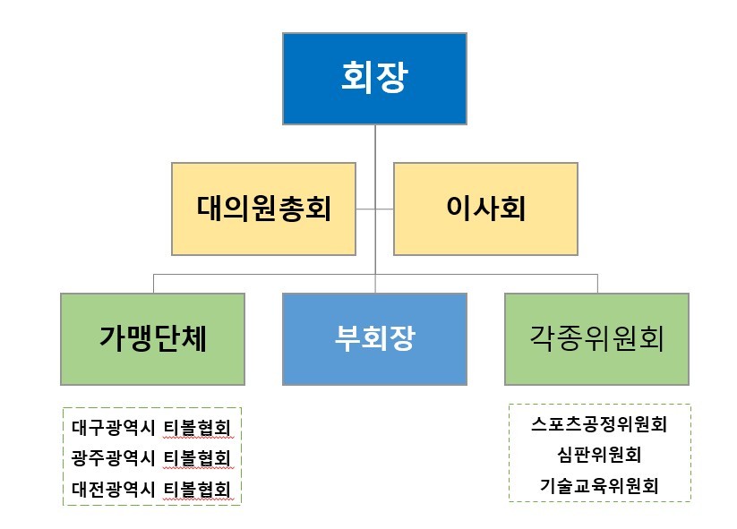 대한티볼협회 조직도